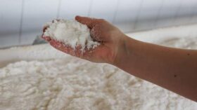 Цены на сахар в мире поднялись на 1,5%, обновив рекорд с октября